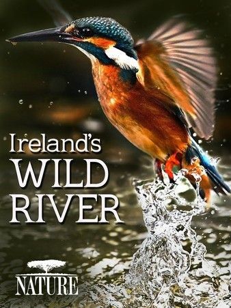 Nature Irelands Wild River (2014)