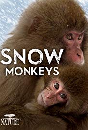 Nature Snow Monkeys (2014)