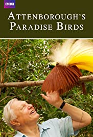 Attenborough’s Paradise Birds (2015)