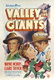 Valley of the Giants (1938)