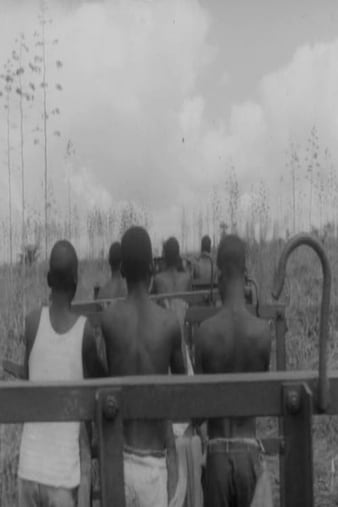 Deixem-me ao Menos Subir às Palmeiras (1974)