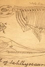 American Experience Dinosaur Wars (2011)