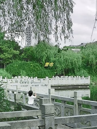 Distant Thunder (2016)