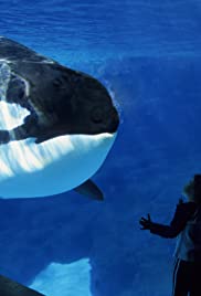 Long Gone Wild (2019)