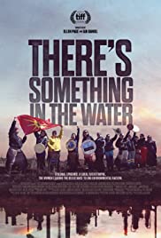 There’s Something in the Water (2019)