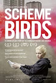 Scheme Birds (2019)