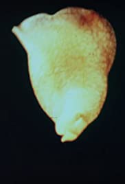 Acéra ou Le bal des sorcières (1972)