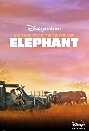 In the Footsteps of Elephant (2020)