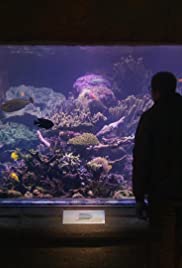 Relaxing Old Footage with Joe Pera (2020)