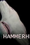 Mega Hammerhead (2016)