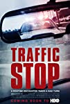Traffic Stop (2017)