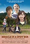 Miracle in a Spiny Bur: The Chestnut Family of Kasama (2018)