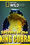 Secrets of the King Cobra (2010)
