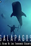 Galapagos: Realm of Giant Sharks (2012)