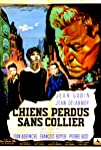 Chiens perdus sans collier (1955)