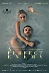 A Perfect Enemy (2020)