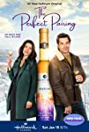 The Perfect Pairing (2022)