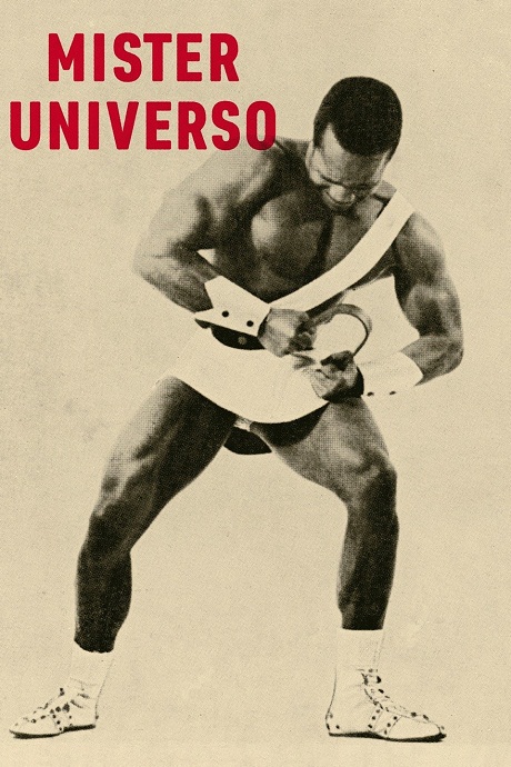 Mister Universo (2016)