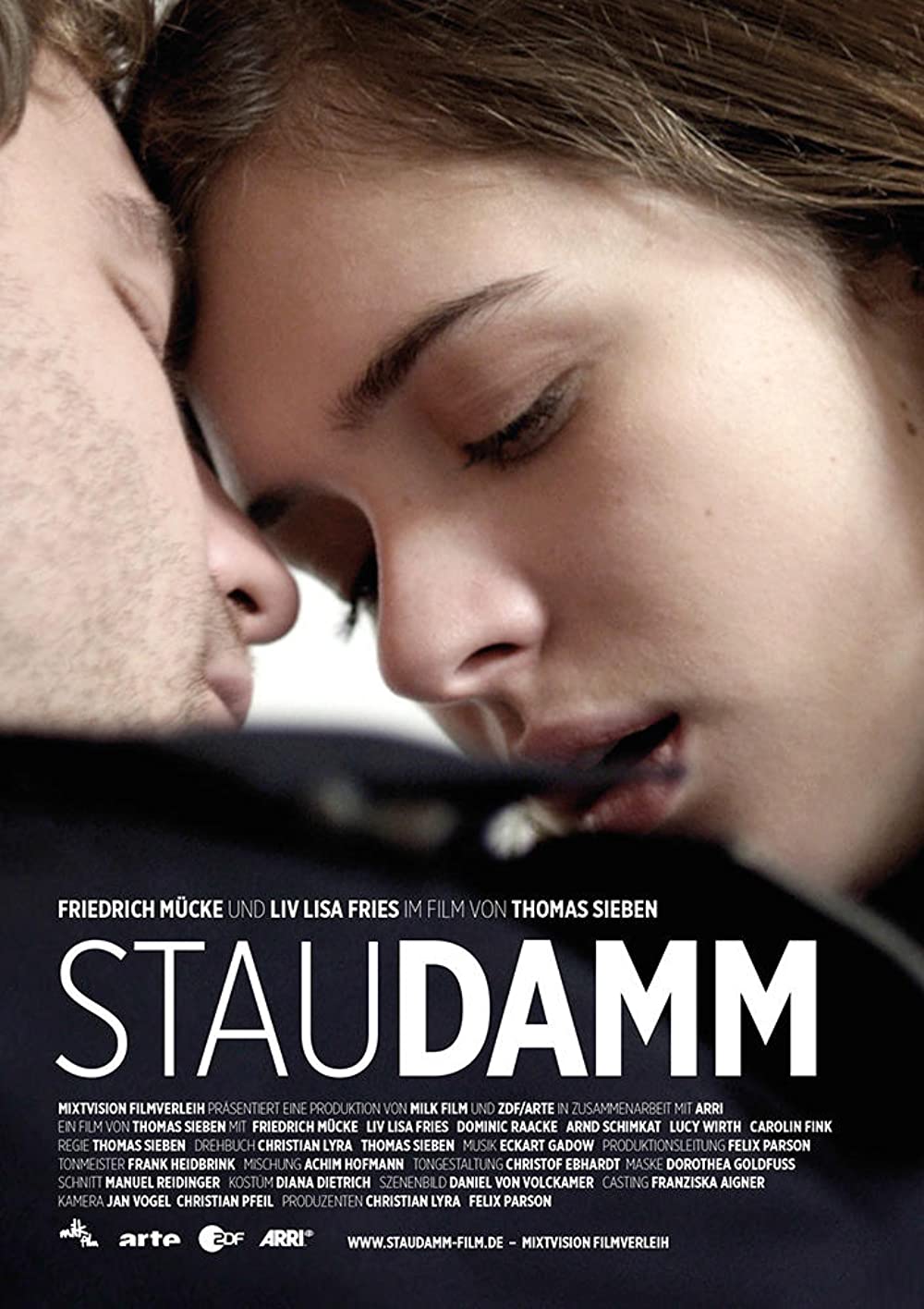 Staudamm (2013)
