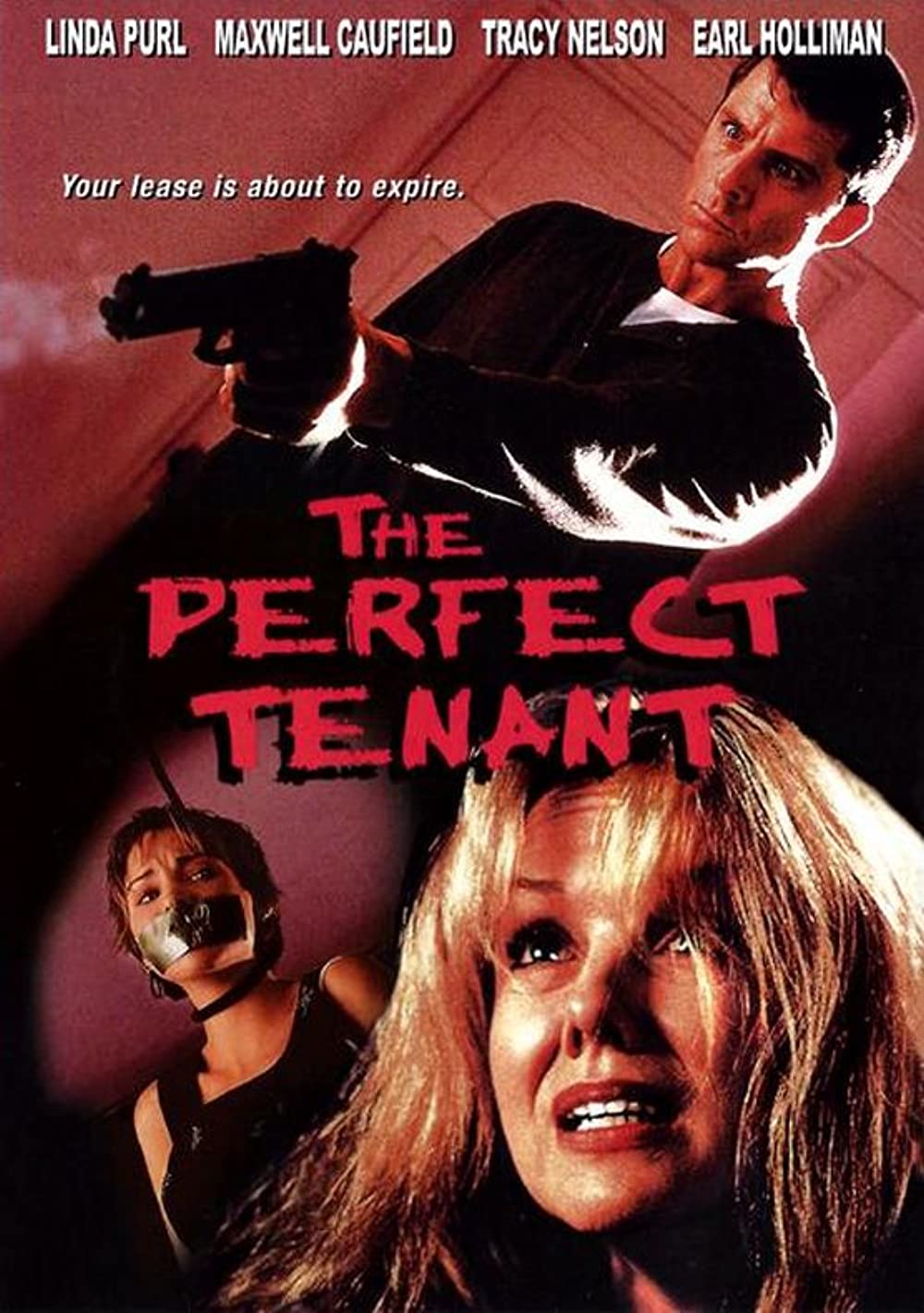 The Perfect Tenant (2000)