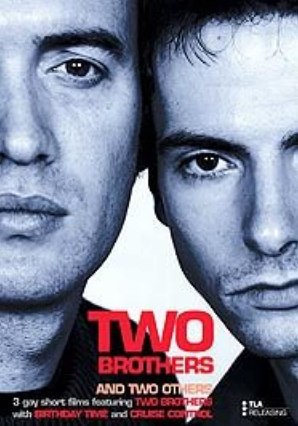 Two Brothers (2001)