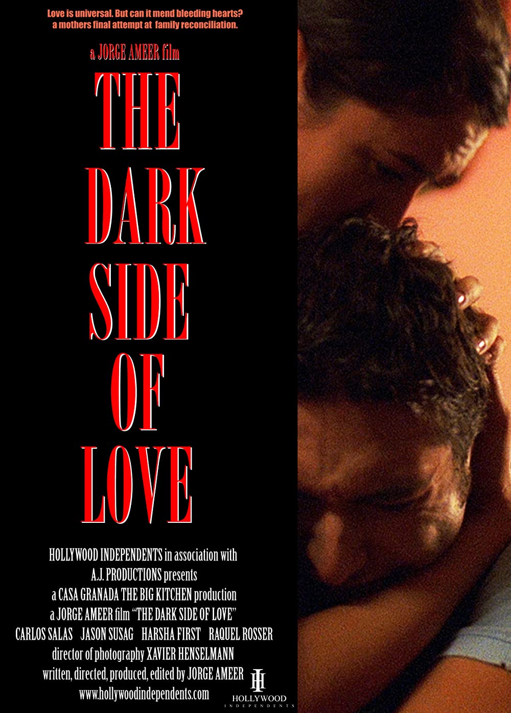 The Dark Side of Love (2012)