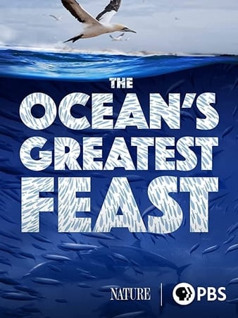 Nature (TV Series) The Ocean’s Greatest Feast (2022)