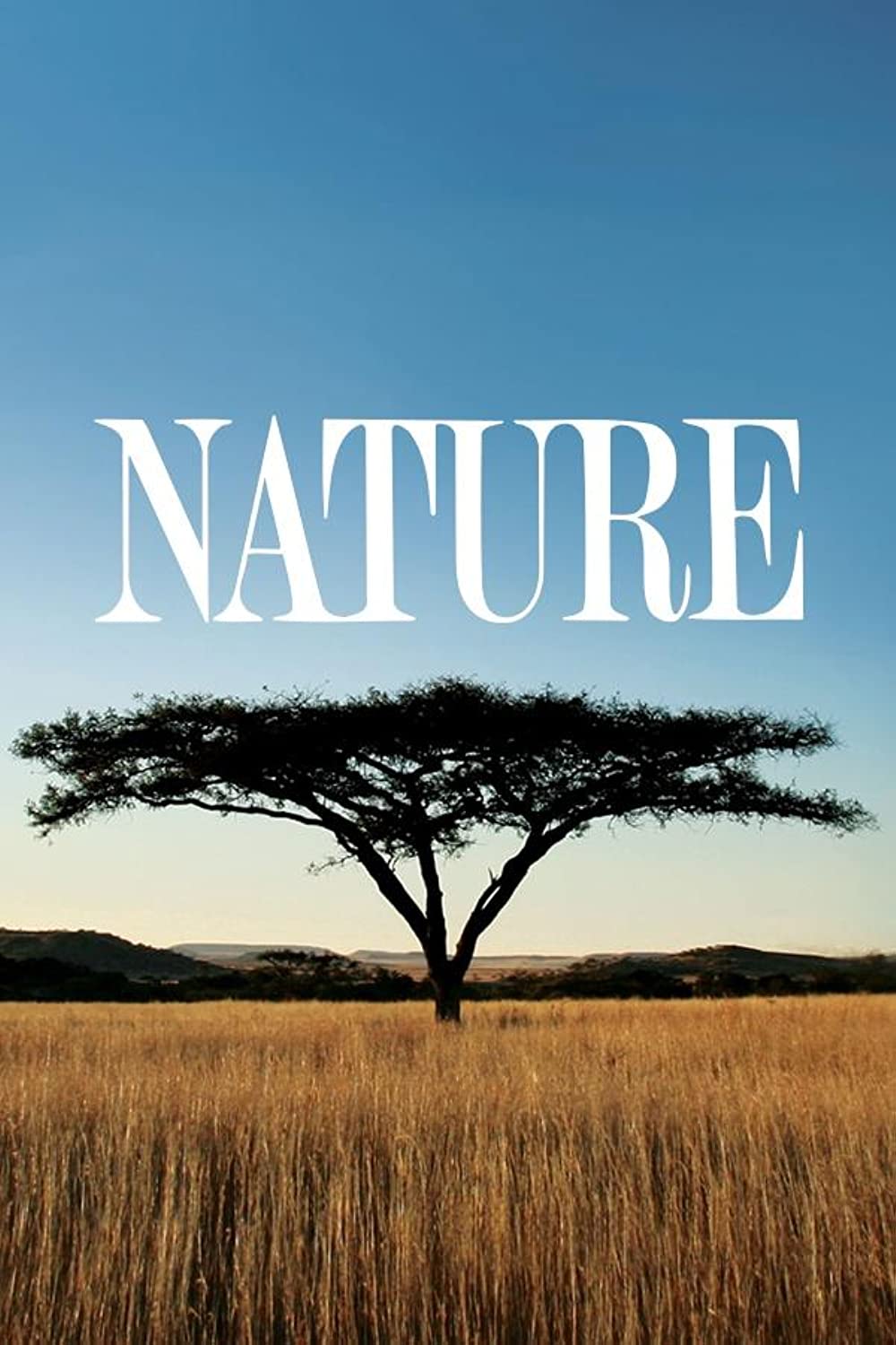 Nature (TV Series) American Arctic (2022)
