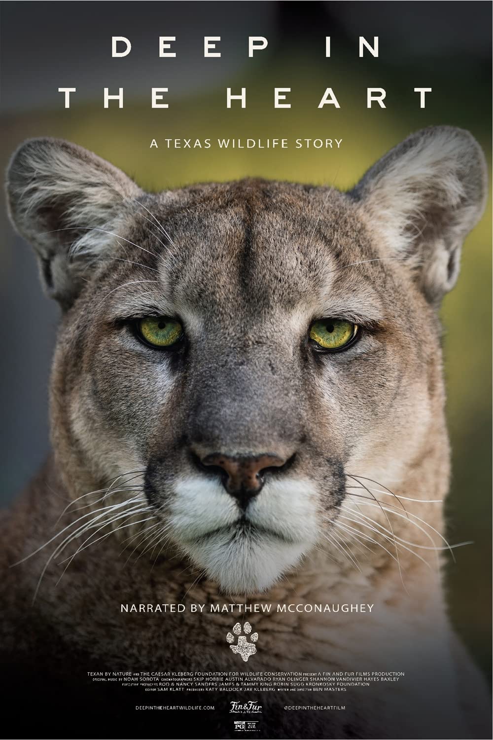 Deep in the Heart: A Texas Wildlife Story (2022)