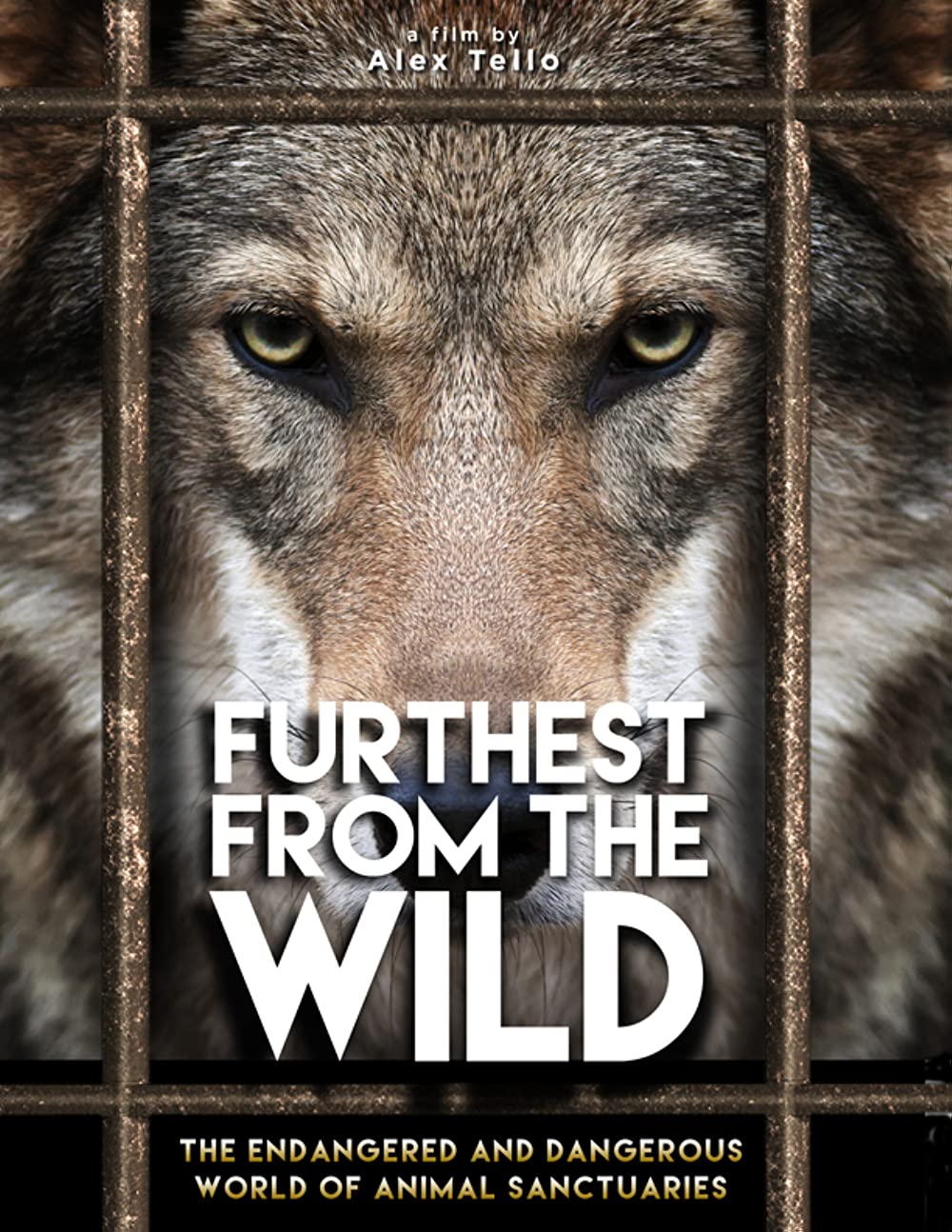 Furthest from the Wild (2014)