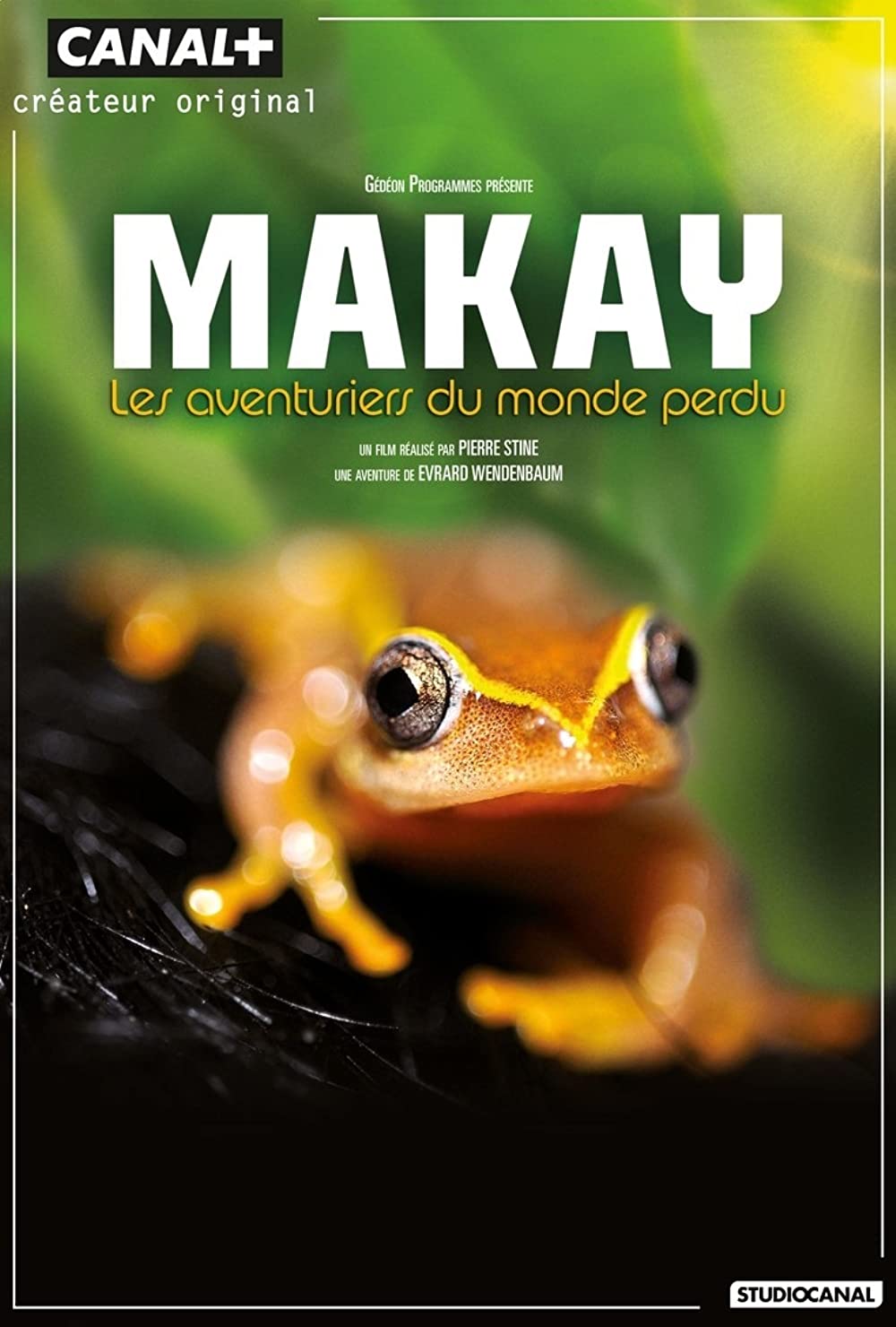 Madagascar: The Lost Makay (2011)