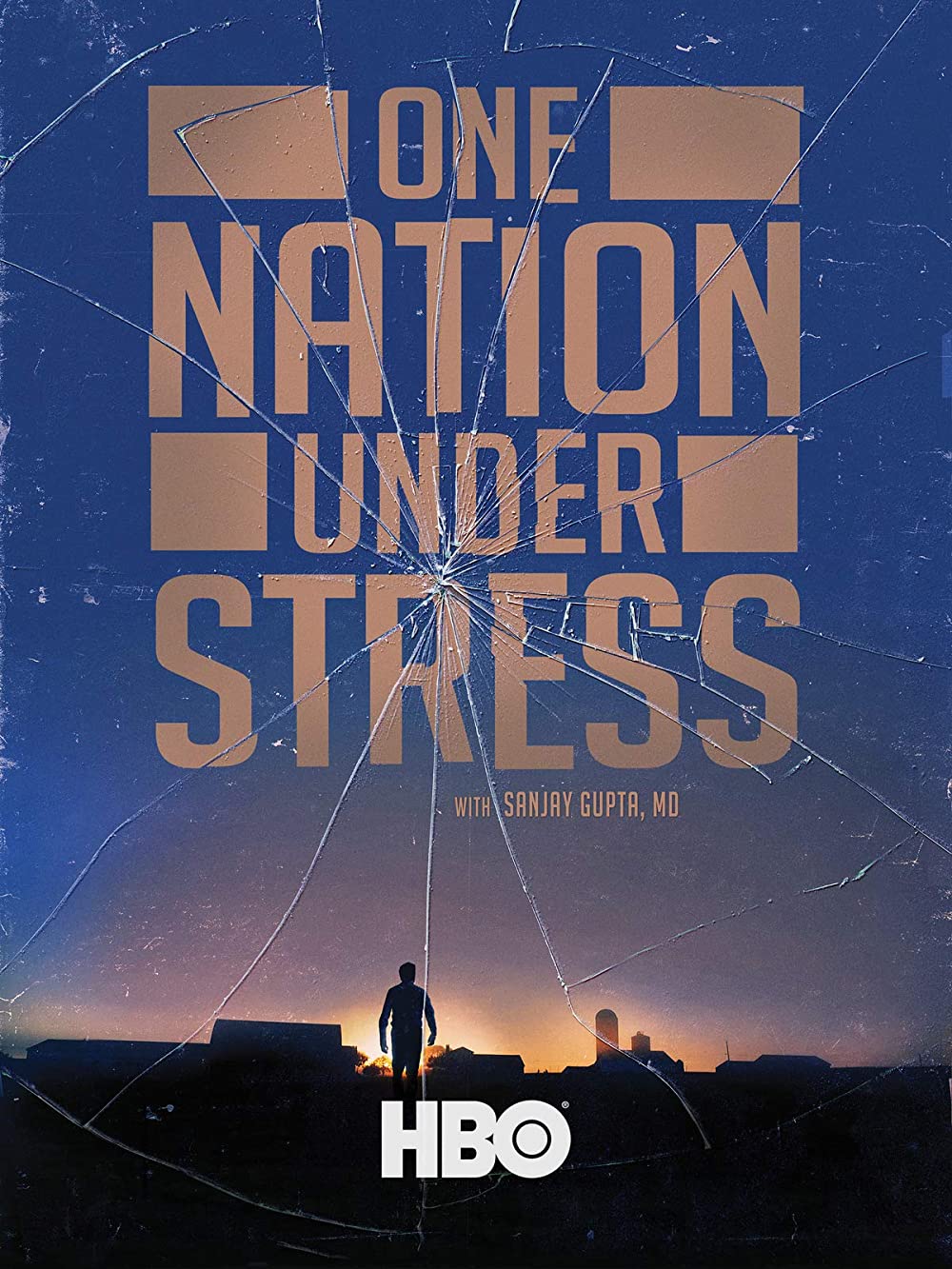 One Nation Under Stress (2019)