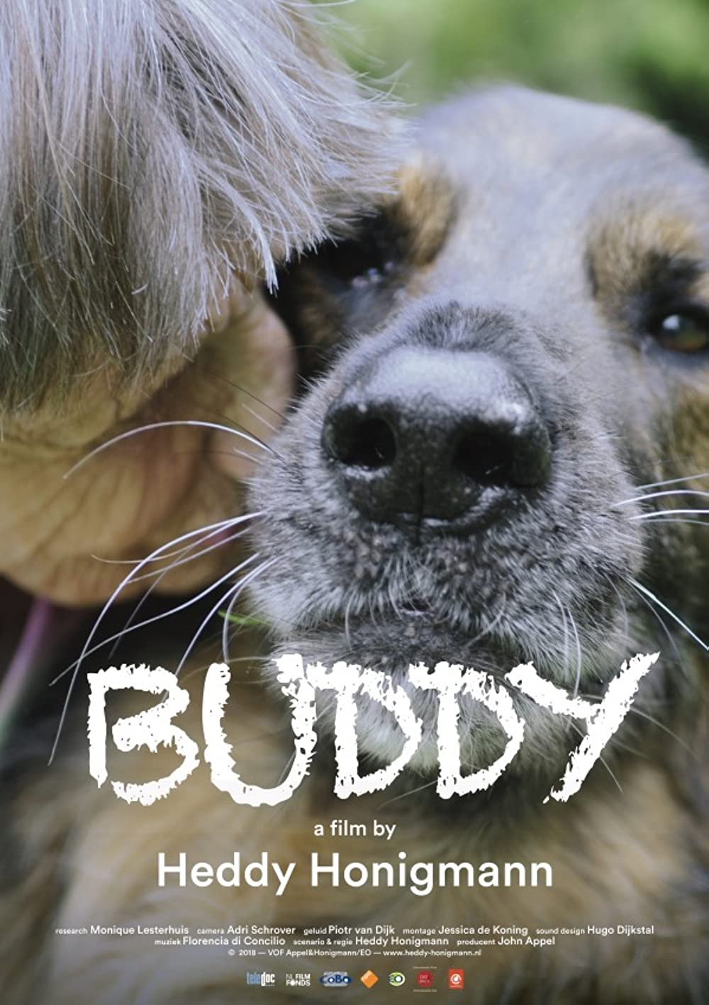 Buddy (2018)