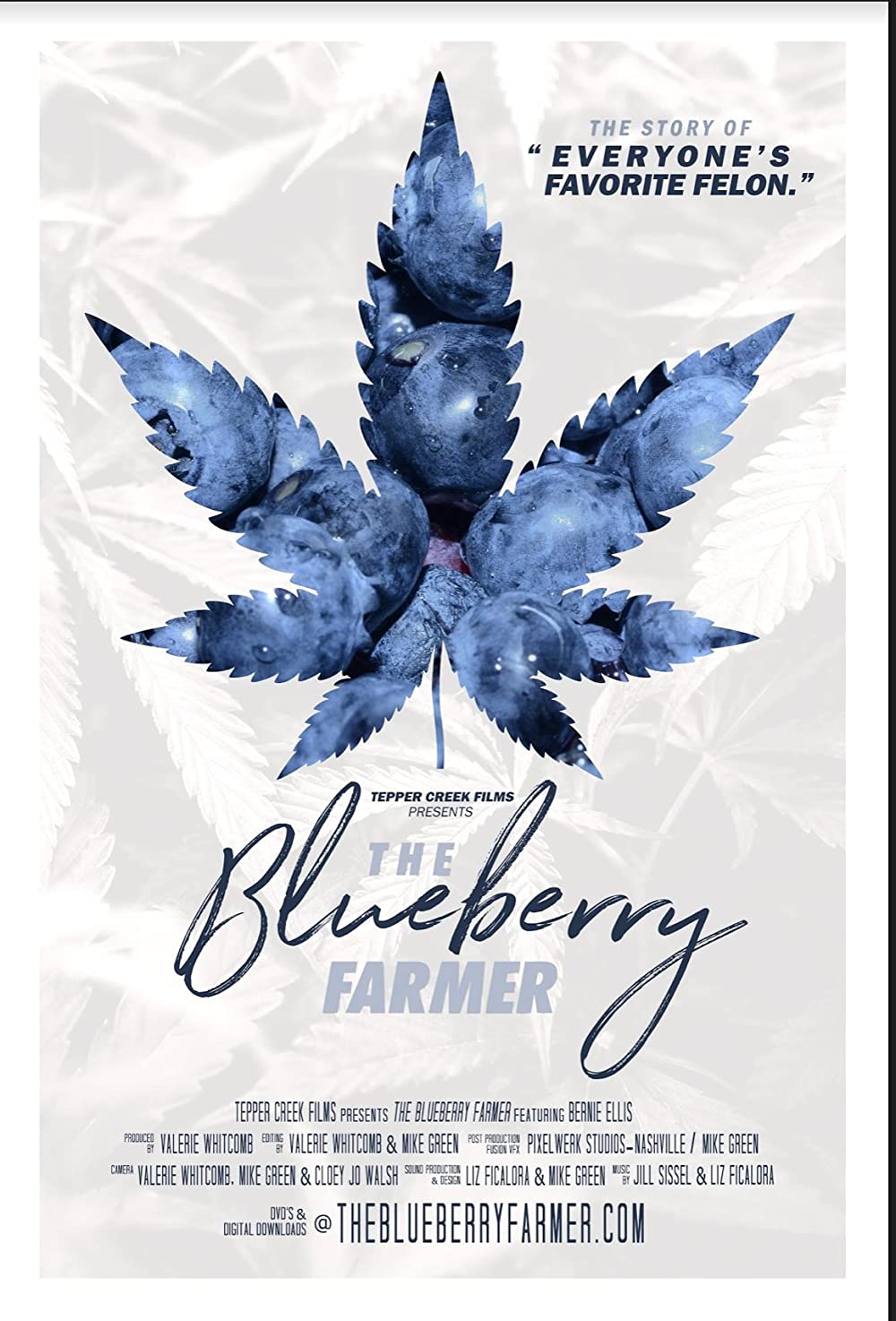 The Blueberry Farmer (2018)