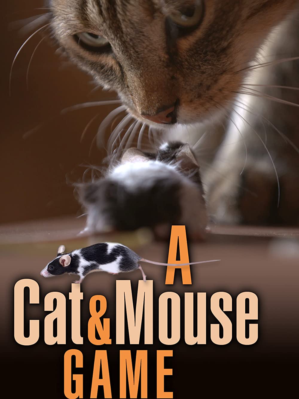 A Cat and Mouse Game (2019)