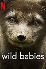 Wild Babies (2022–) S01 720p WEB x264 400MB