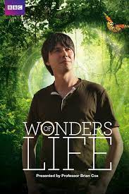 Wonders of Life (2013–) S01 720p Blu-Ray x264 450MB