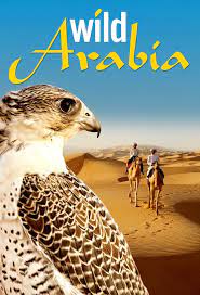 Wild Arabia (2013– ) S01 720p Blu-Ray x264 400MB