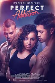 Perfect Addiction (2023)