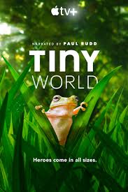 Tiny World (2020–) S01 720p WEB x264 250MB