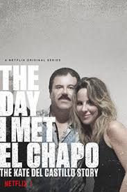 The Day I Met El Chapo: The Kate Del Castillo Story (2017) S01 720p WEB x264 400MB