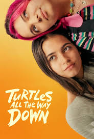 Turtles All the Way Down (2024 )