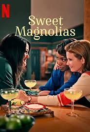 Sweet Magnolias (2020–) S01-02-03 720p WEB x264 400MB