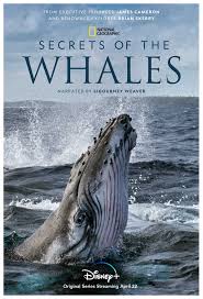 Secrets of the Whales (2021) S01 720p WEB x264 400MB
