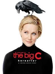 The Big C (2010-2013) S01-02-03-04 480p WEB x264 90MB