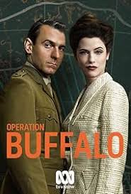 Operation Buffalo (2020) S01 720p WEB