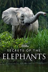Secrets & Lies (2014) S01 720p WEB