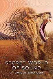 Secret World of Sound with David Attenborough (2024) S01 720p WEB