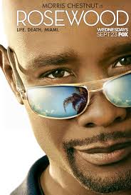 Rosewood (2015–2017) S01-02 480p WEB