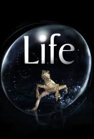 Life (2009) S01 Complete 720p Blu-Ray